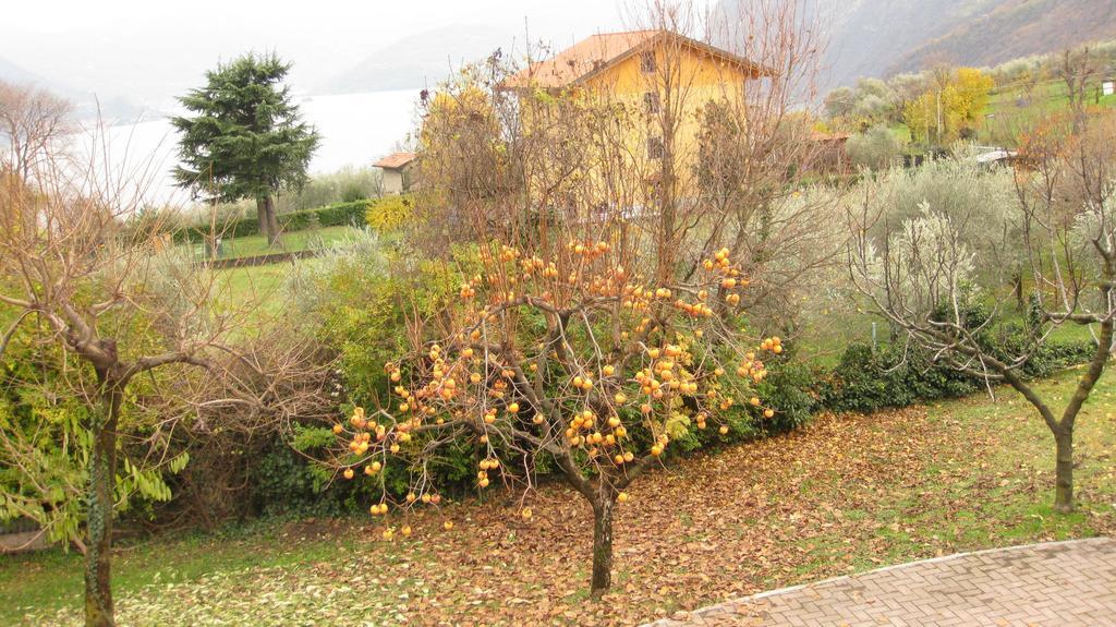 B&B Garden Solto Collina Extérieur photo